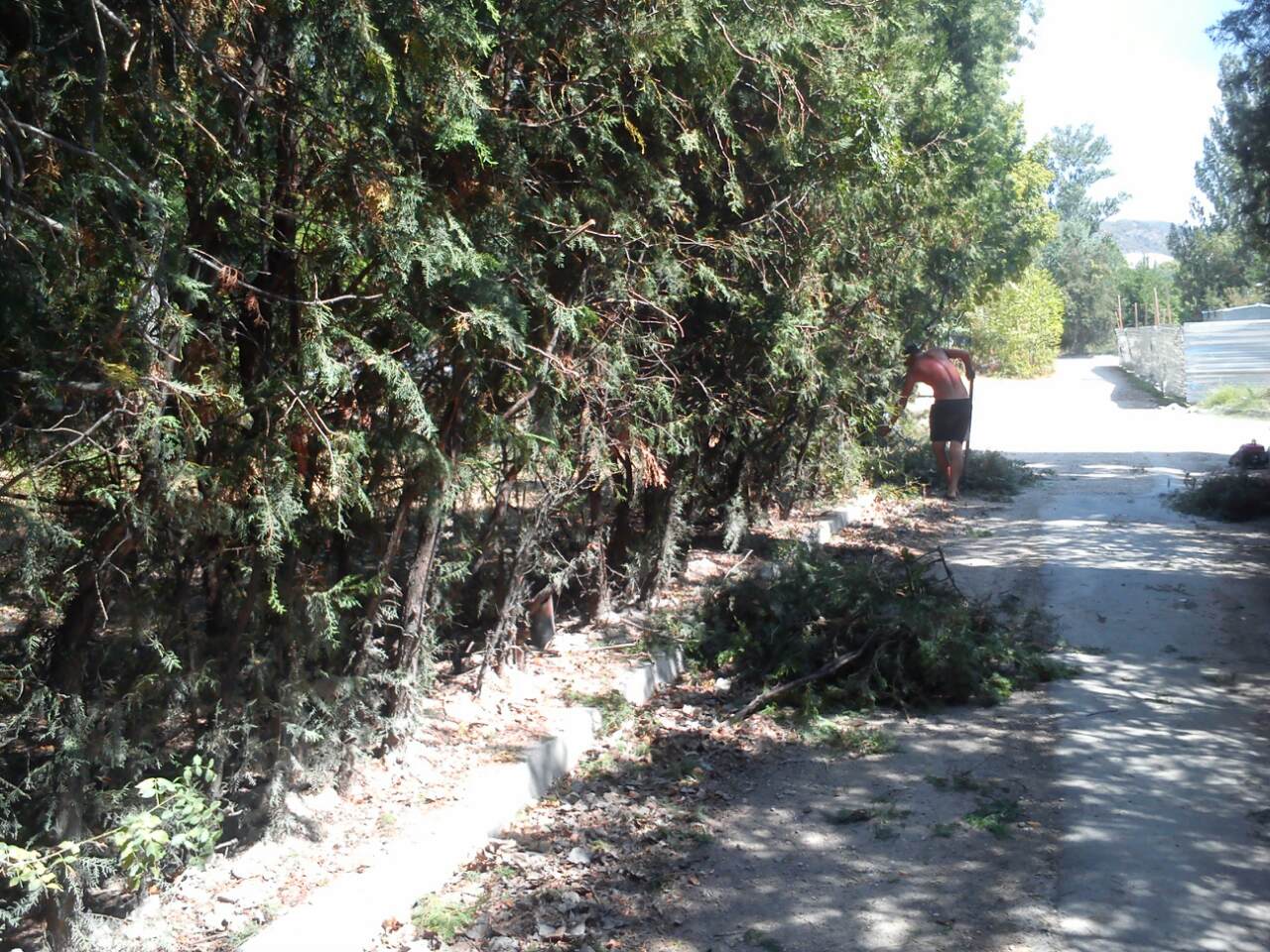 IMG 074f151d6ada293c62db5b22ca8e471d V