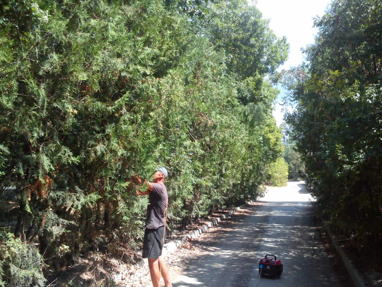 IMG 074f151d6ada293c62db5b22ca8e471d V