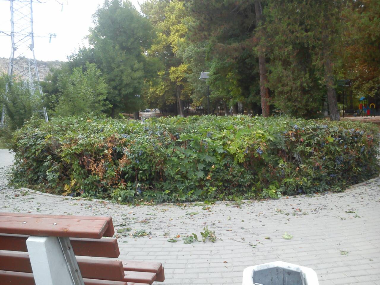 IMG 074f151d6ada293c62db5b22ca8e471d V