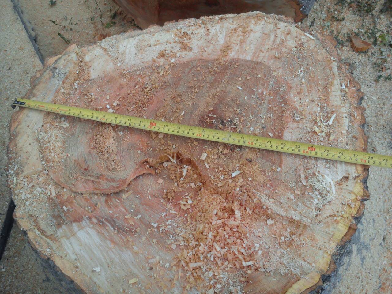 IMG 074f151d6ada293c62db5b22ca8e471d V