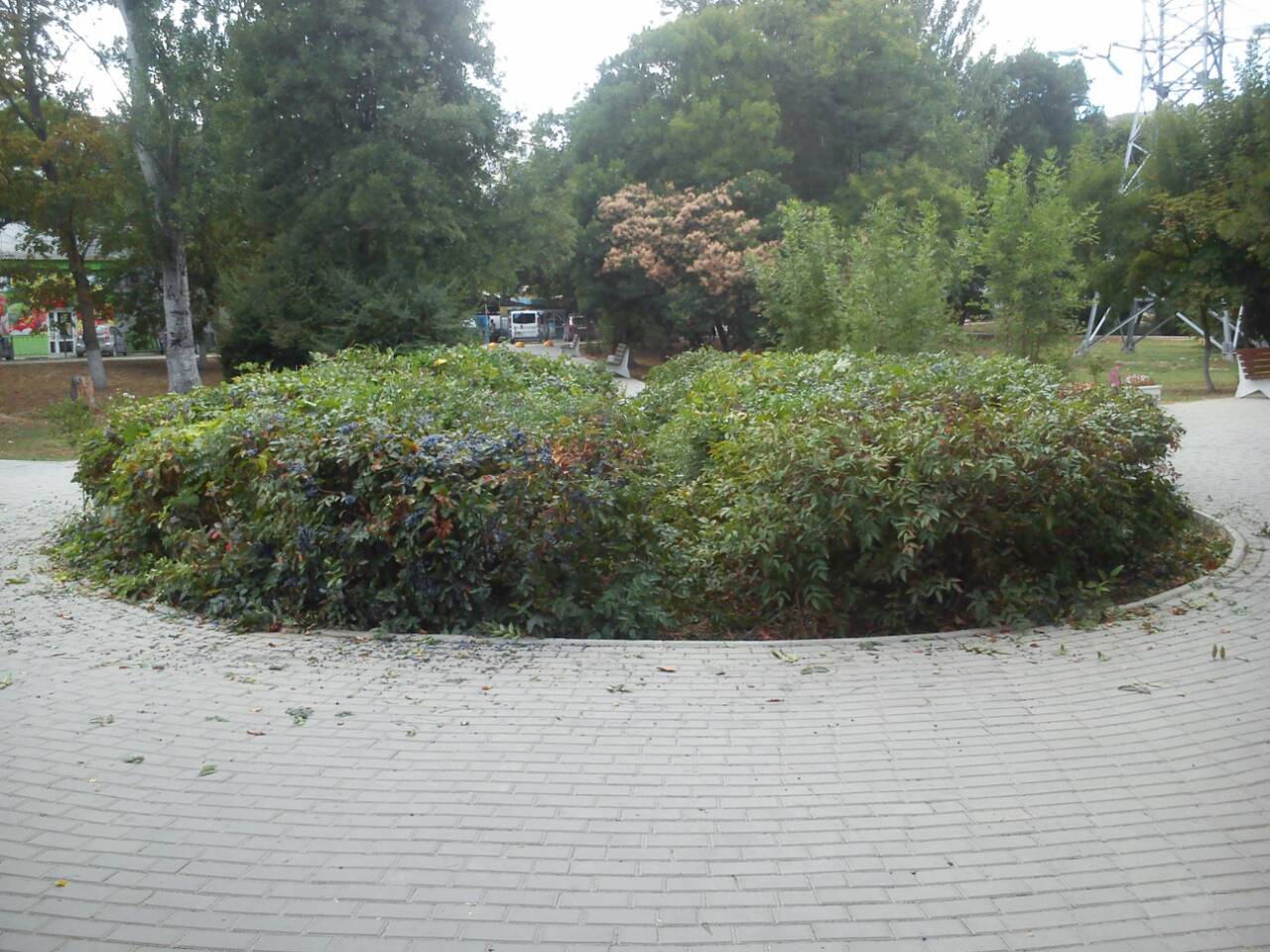 IMG 074f151d6ada293c62db5b22ca8e471d V