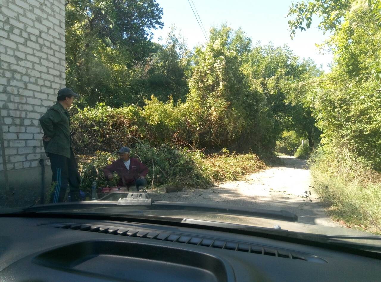 IMG 074f151d6ada293c62db5b22ca8e471d V