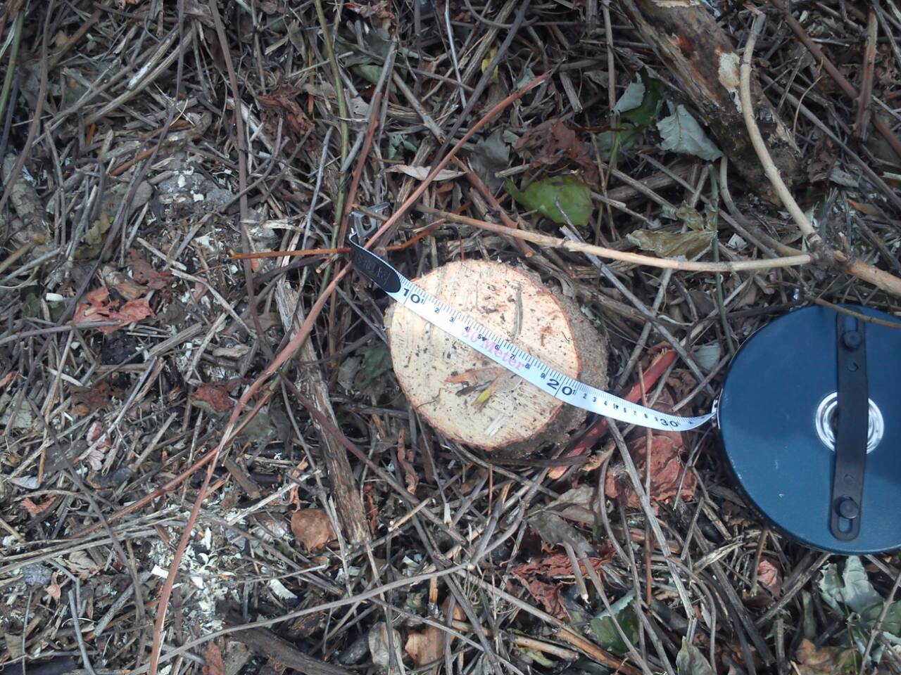 IMG 074f151d6ada293c62db5b22ca8e471d V