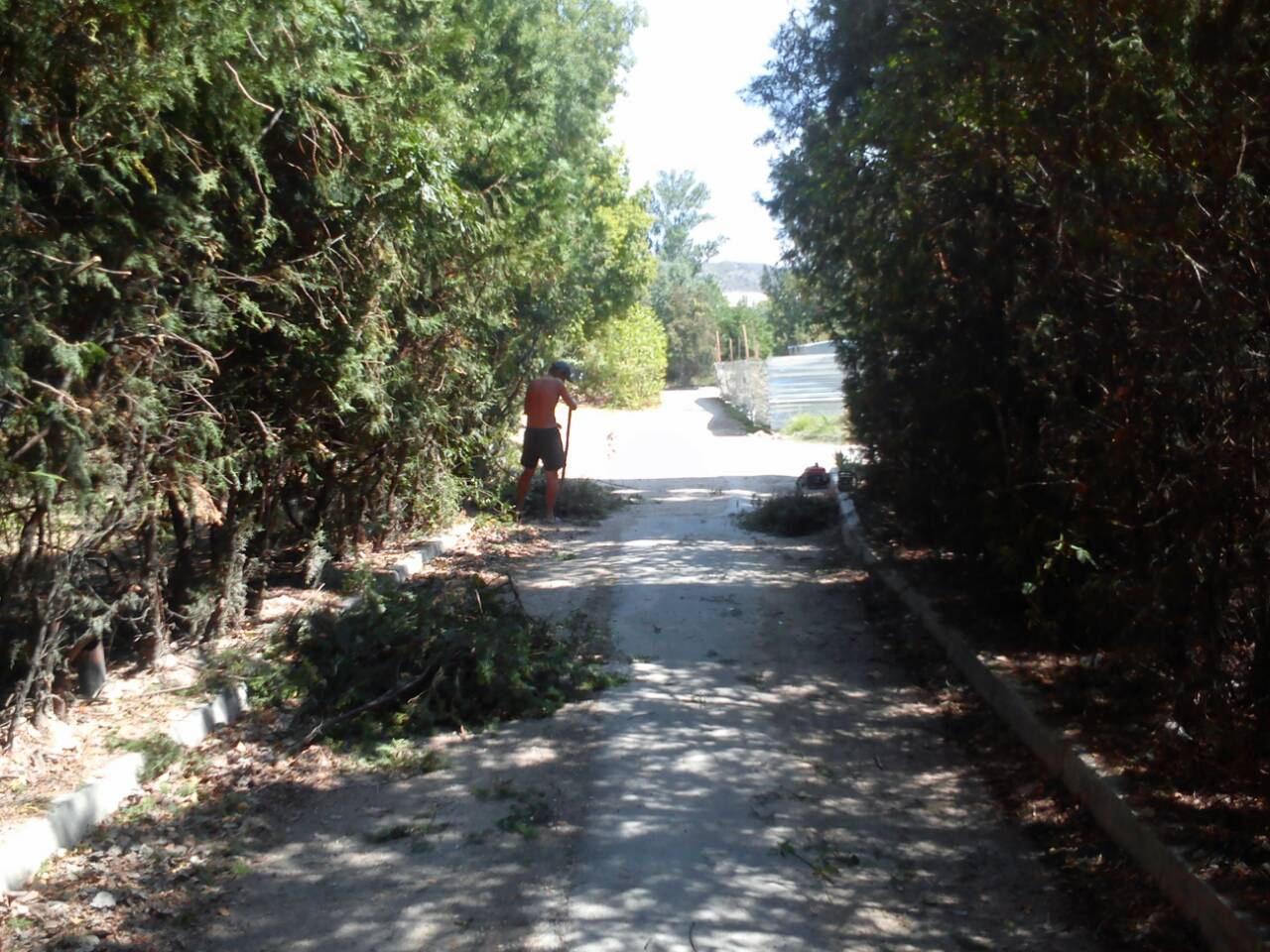 IMG 074f151d6ada293c62db5b22ca8e471d V