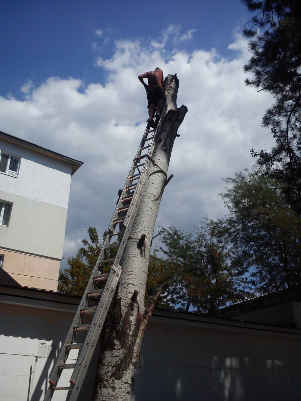 IMG 074f151d6ada293c62db5b22ca8e471d V