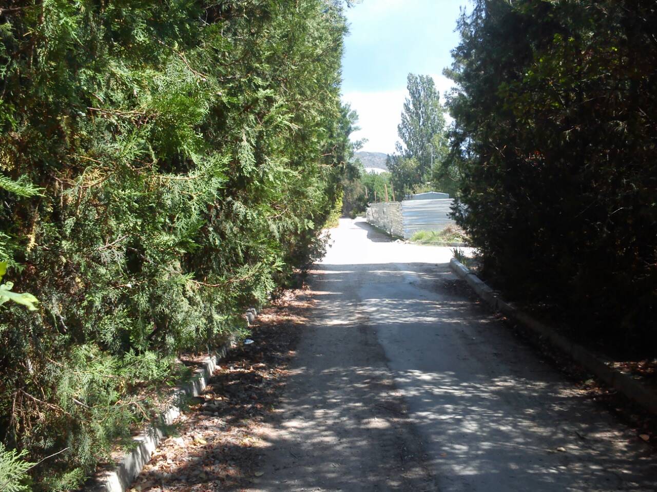 IMG 074f151d6ada293c62db5b22ca8e471d V