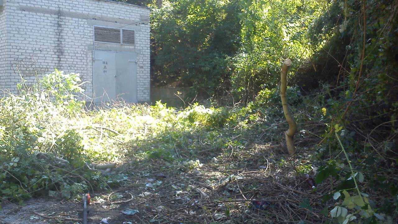 IMG 074f151d6ada293c62db5b22ca8e471d V