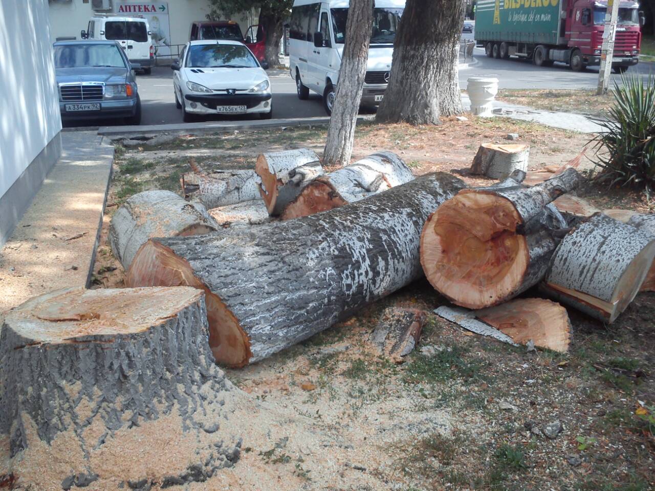 IMG 074f151d6ada293c62db5b22ca8e471d V