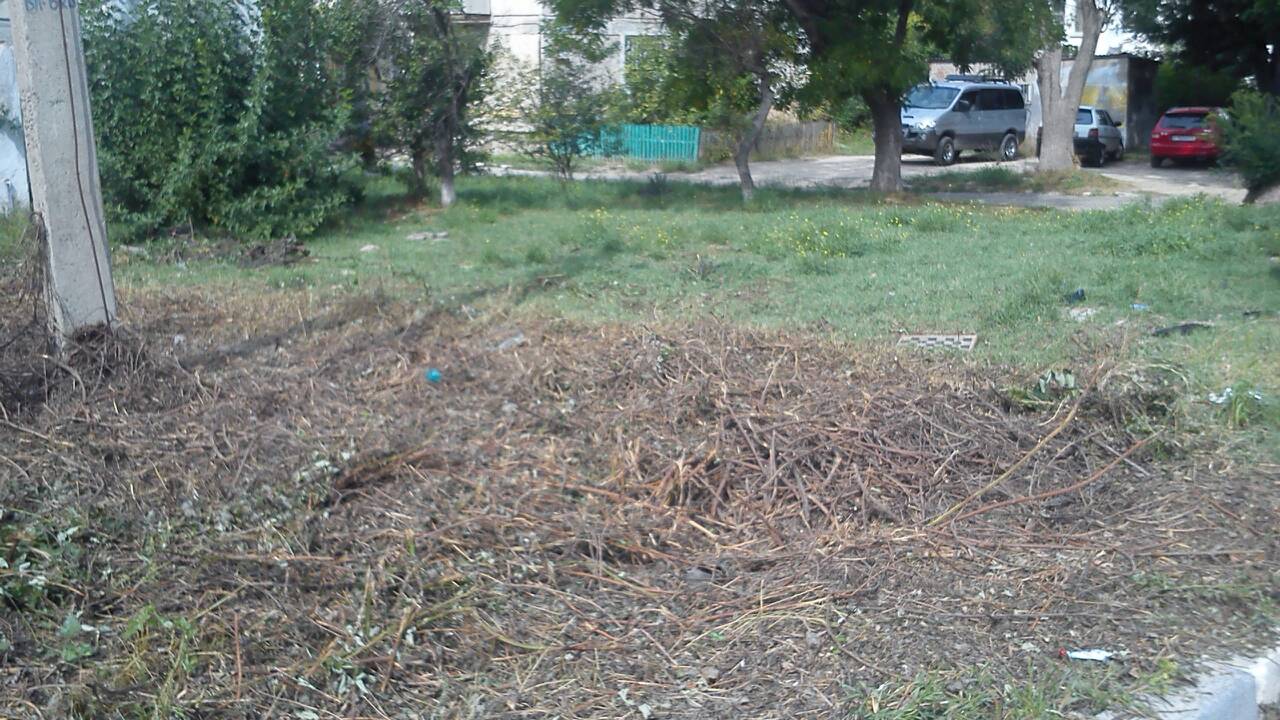 IMG 074f151d6ada293c62db5b22ca8e471d V