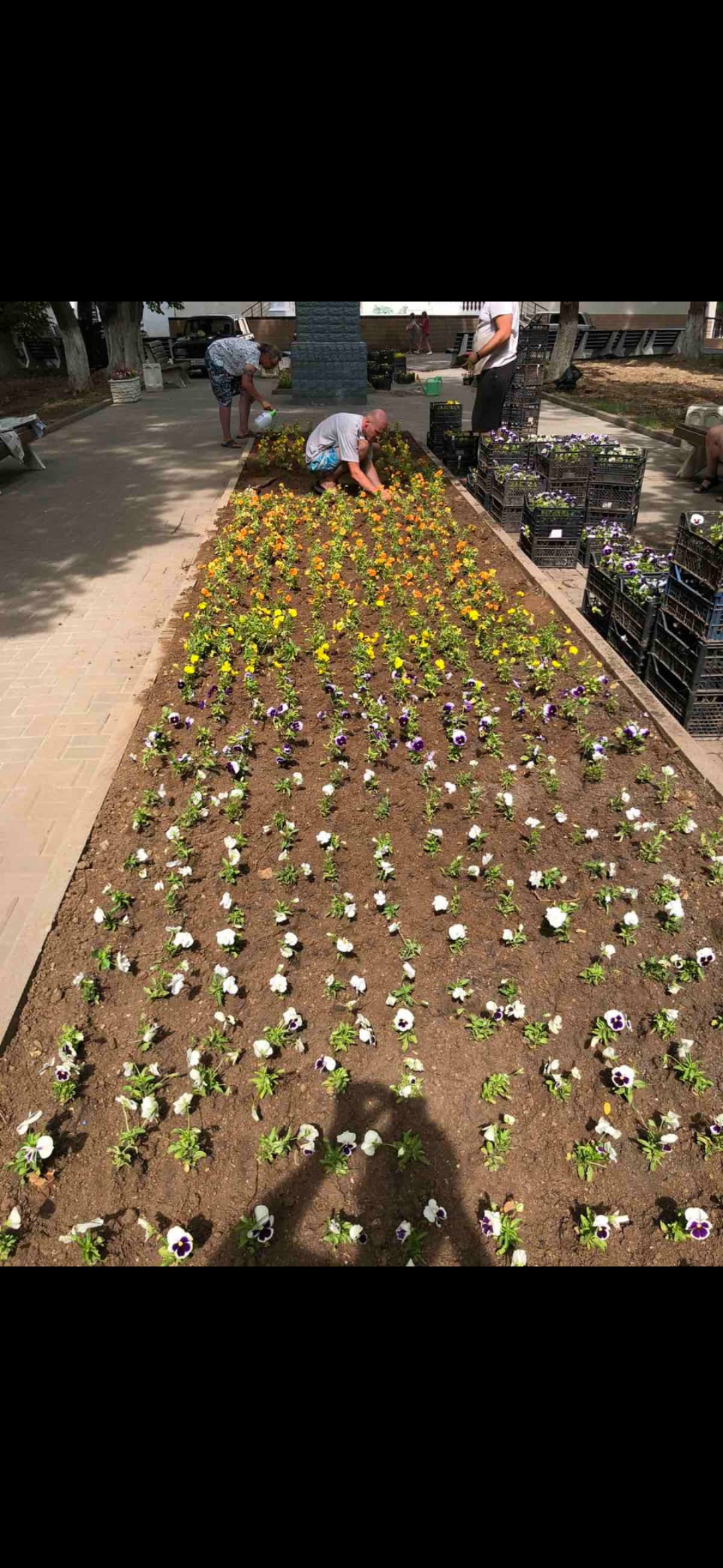 IMG 074f151d6ada293c62db5b22ca8e471d V