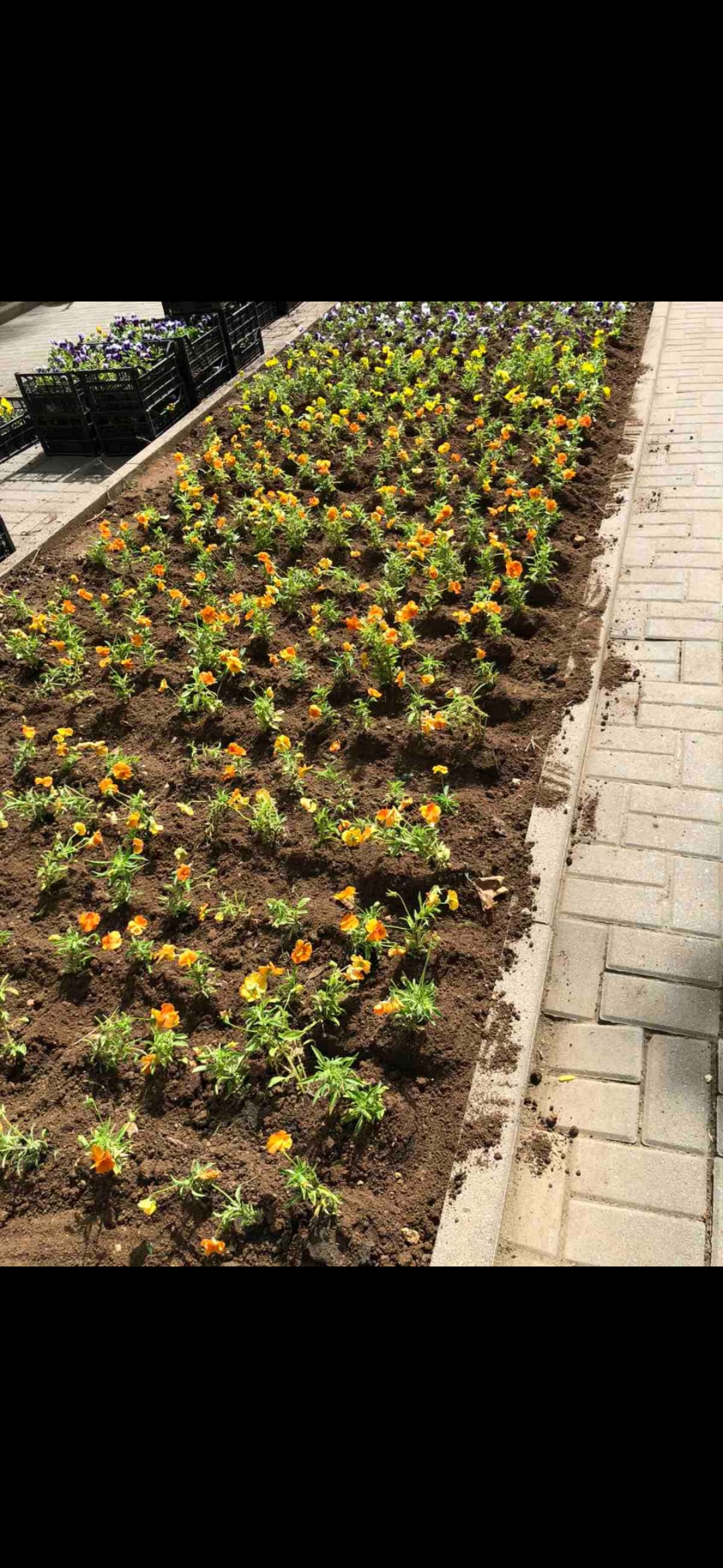 IMG 074f151d6ada293c62db5b22ca8e471d V