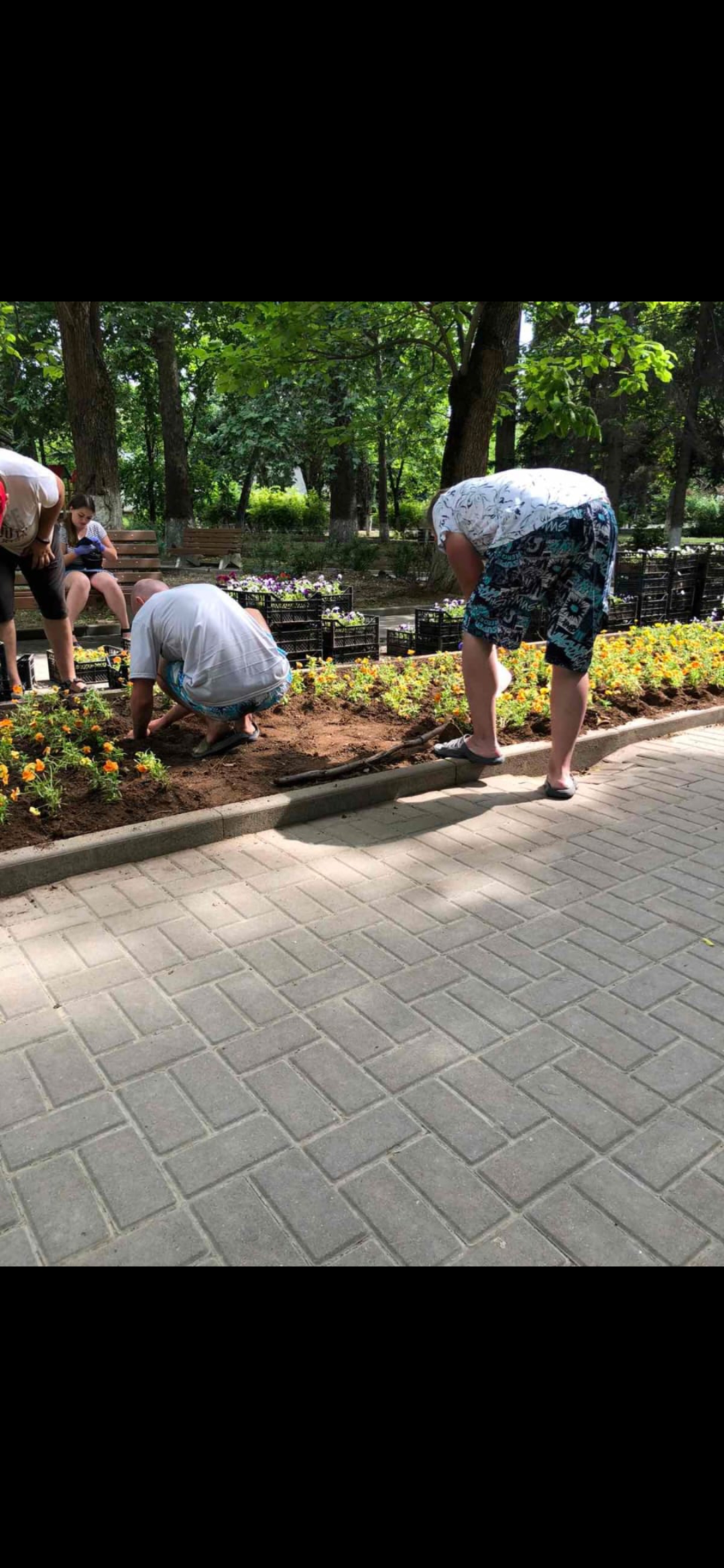 IMG 074f151d6ada293c62db5b22ca8e471d V