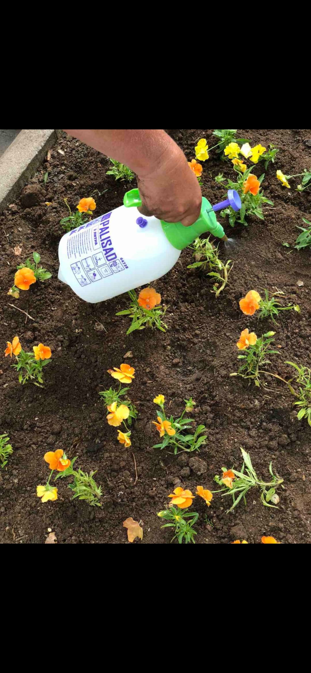 IMG 074f151d6ada293c62db5b22ca8e471d V