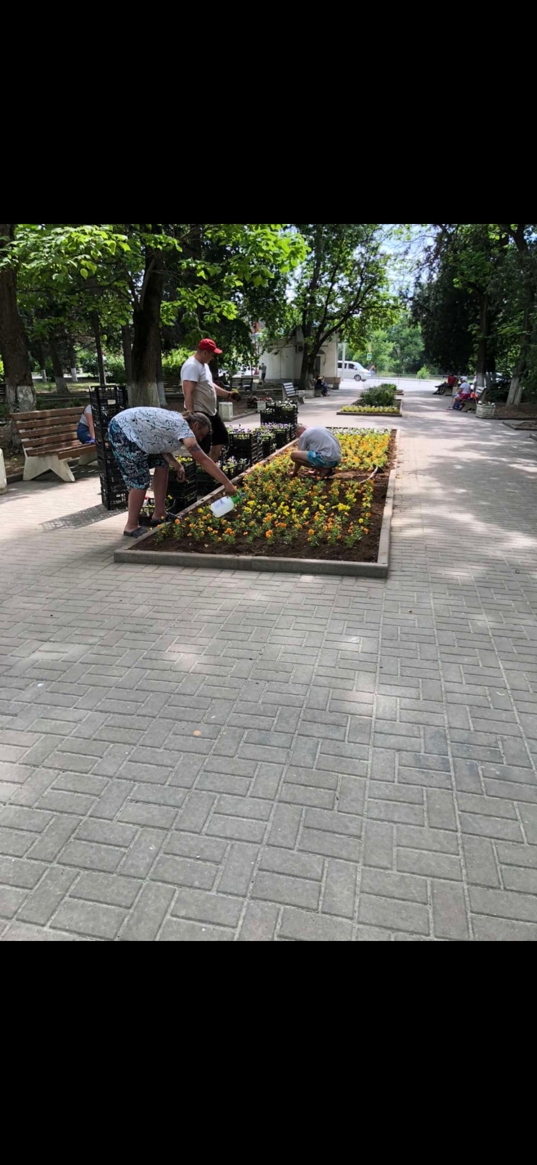 IMG 074f151d6ada293c62db5b22ca8e471d V