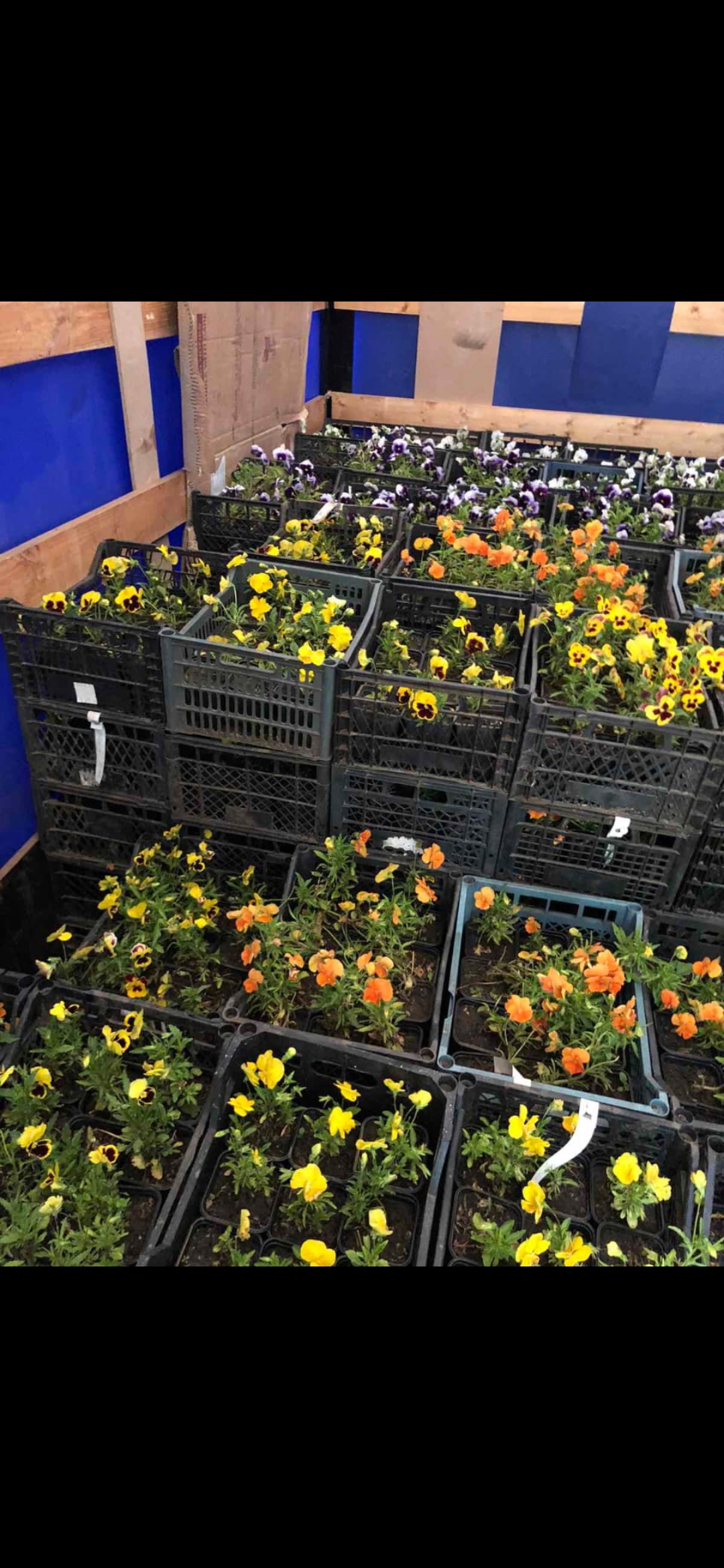 IMG 074f151d6ada293c62db5b22ca8e471d V