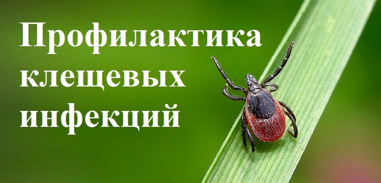 re4ermzl6lz99xb064ntdfu7o83p2jq9