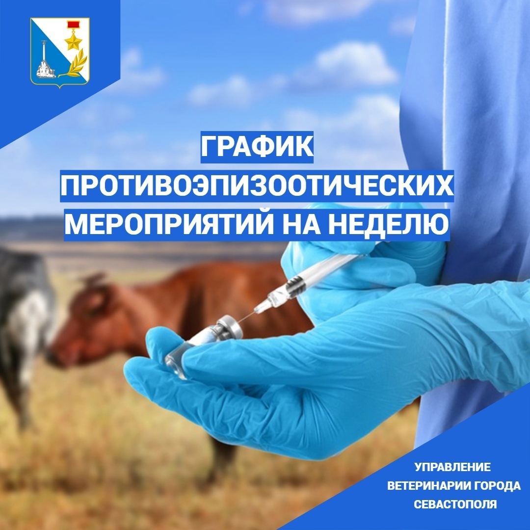 LRCxmHCJw7mzz6EpgW5qfo8EPWDBx40AJhofHOdCLqOezYMMTWR0OES6ucvzG4R_p54520