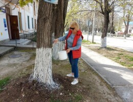 Месячник чистоты в Инкермане: участие учреждений дополнительного образования