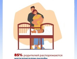 Большинство родителей распоряжается материнским капиталом от Отделения СФР по Севастополю онлайн