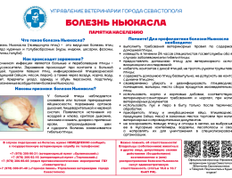 Болезнь Ньюкасла (псевдочума птиц)