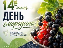 14 июля – день смородины