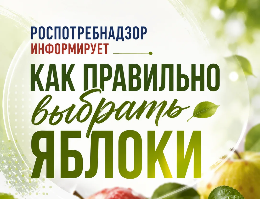 Как правильно выбрать яблоки