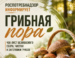Грибная пора: чек-лист безопасного сбора, чистки и заготовки грибов.