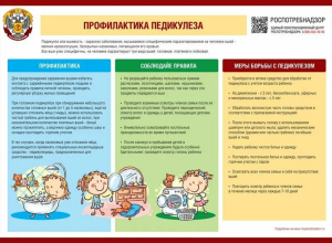 ПРОФИЛАКТИКА ПЕДИКУЛЕЗА
