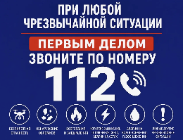 Алгоритм действия при чрезвычайной ситуации